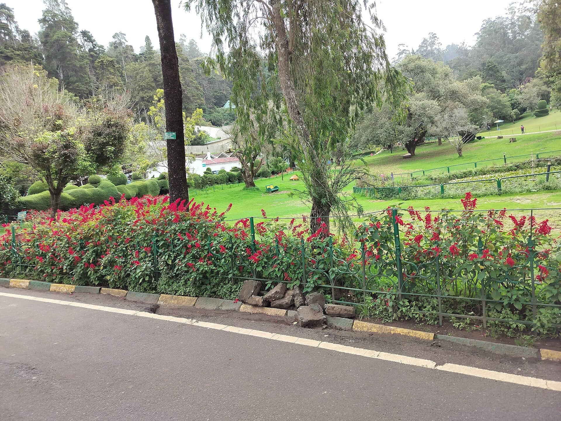 Family Trips to Ooty: Practical Tips for Travelling with Kids or Elderly Parents