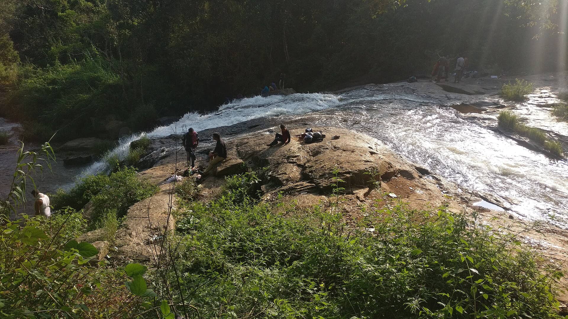 Catherine Falls cascading through the forest