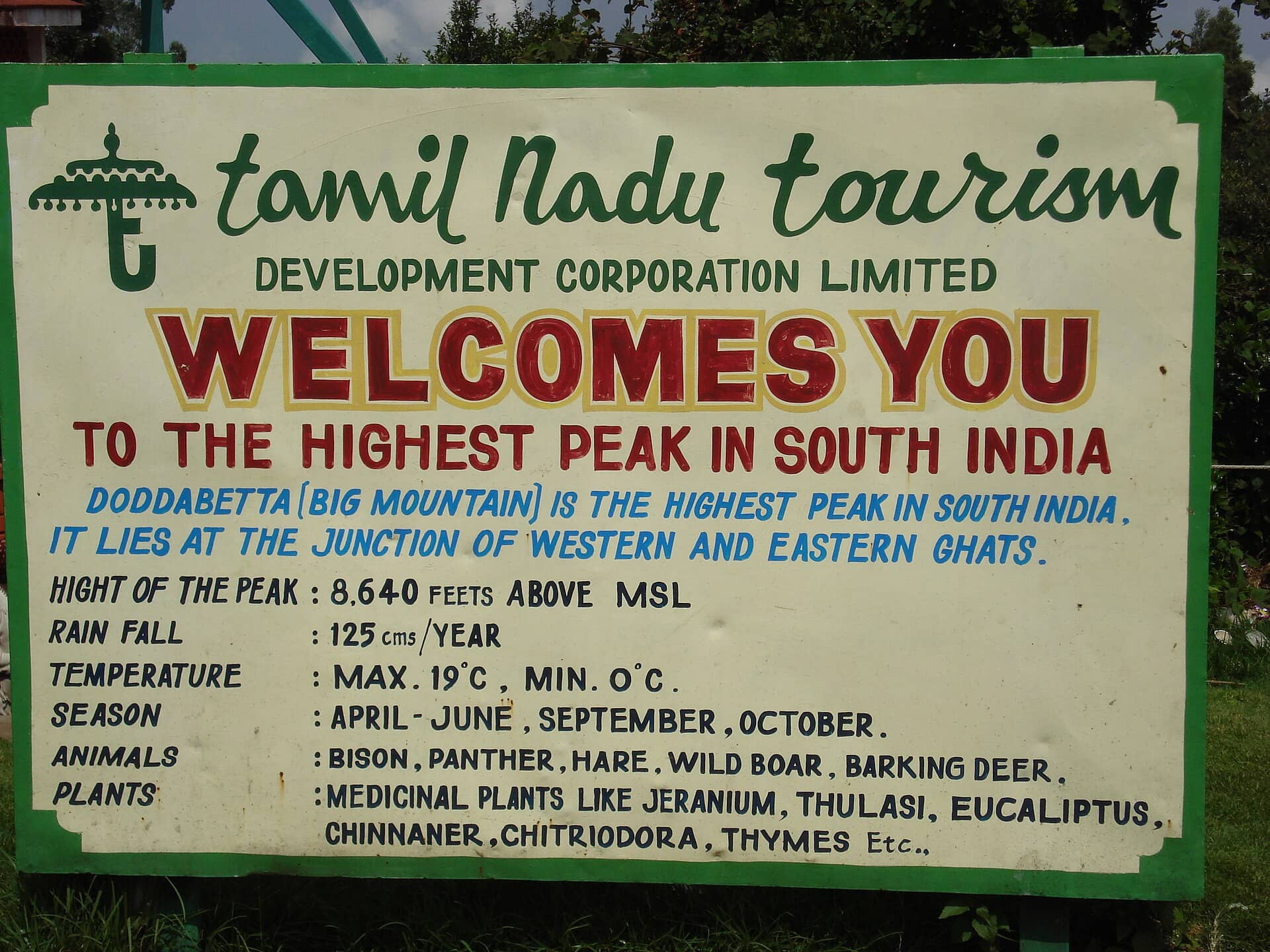 Doddabetta Peak, the Nilgiris' highest point