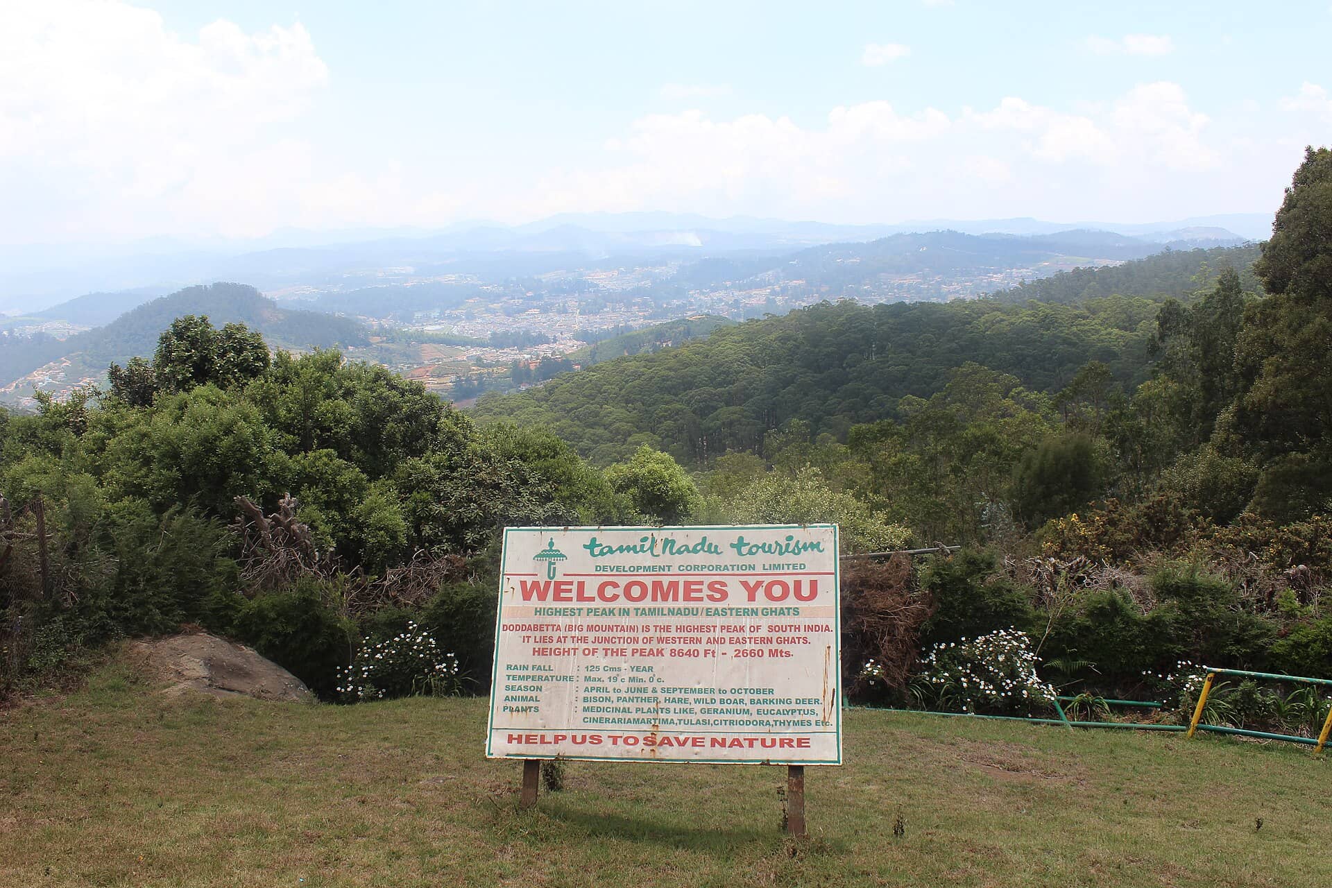 Doddabetta Peak, the Nilgiris' highest point