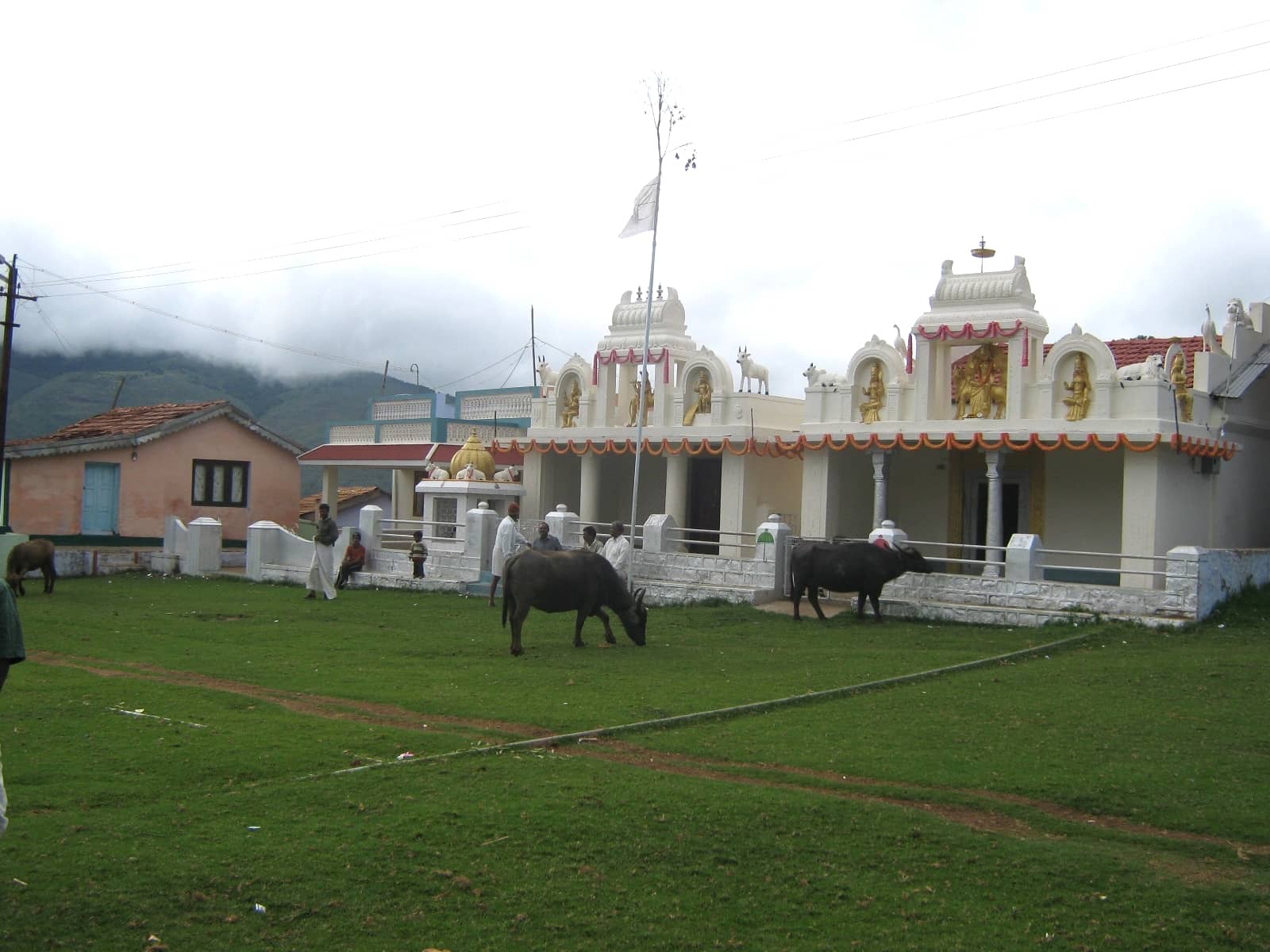 Kotagiri tea country