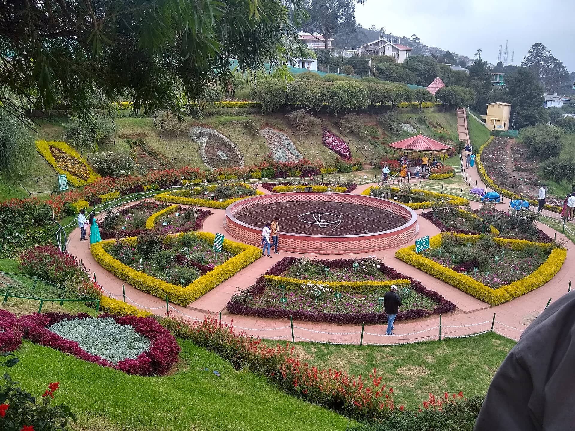 Terraced blooms at the Government Rose Garden
