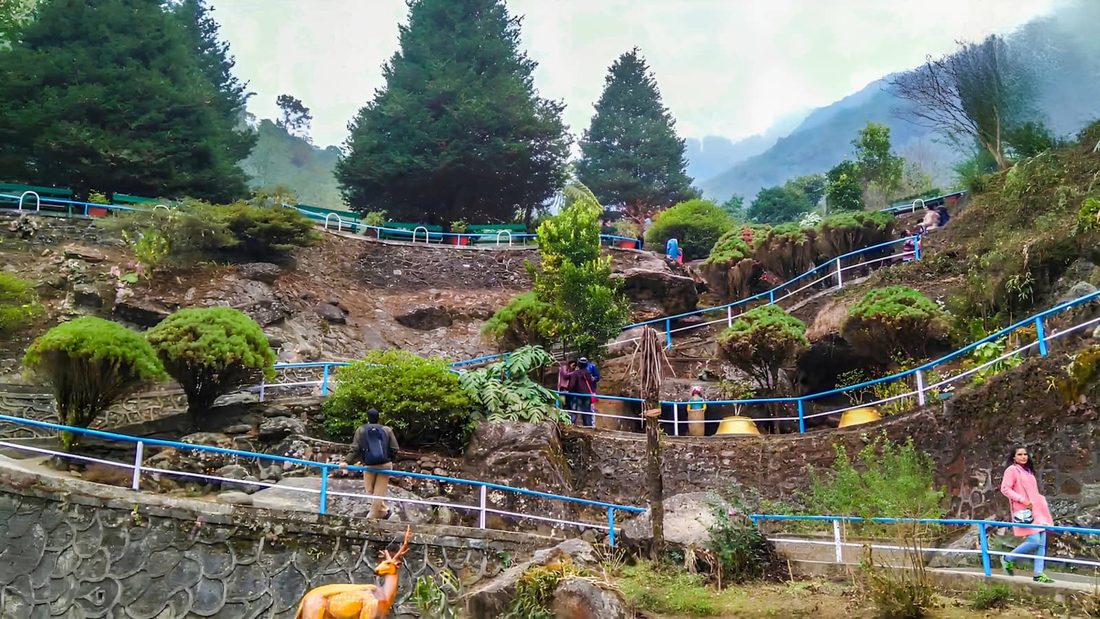 Terraced botanical garden at Sim's Park