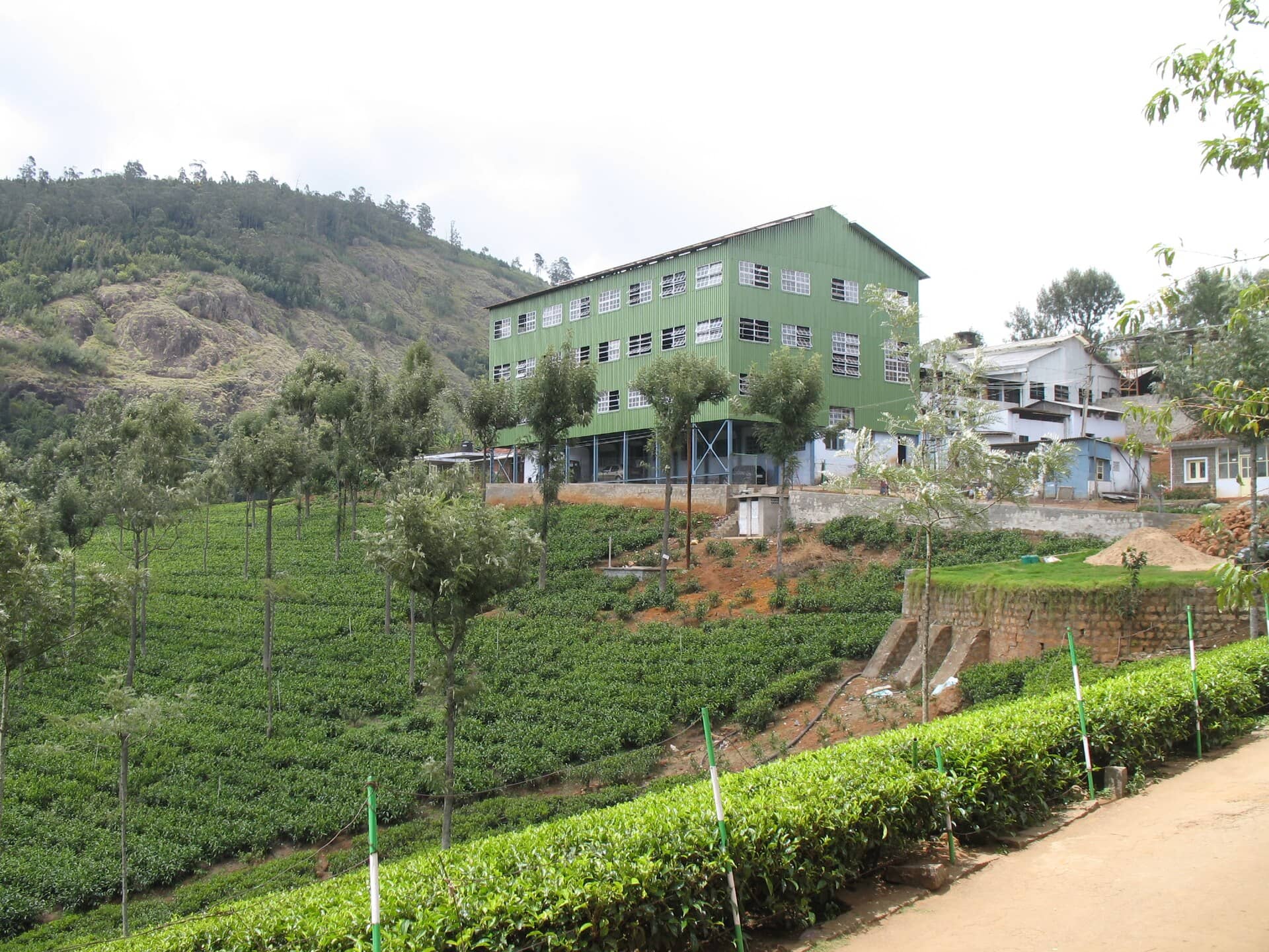 Working tea factory floor
