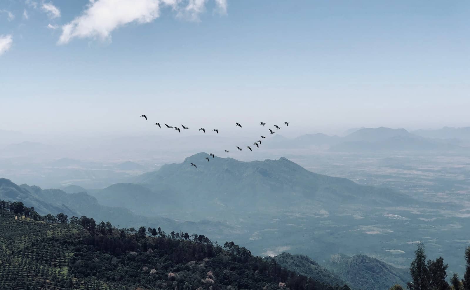 The Best Time to Visit Ooty (And When to Avoid the Crowds)