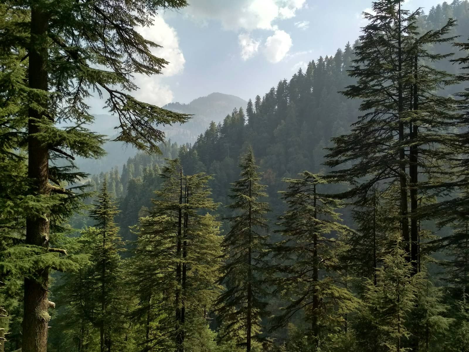Avalanche Lake's emerald water