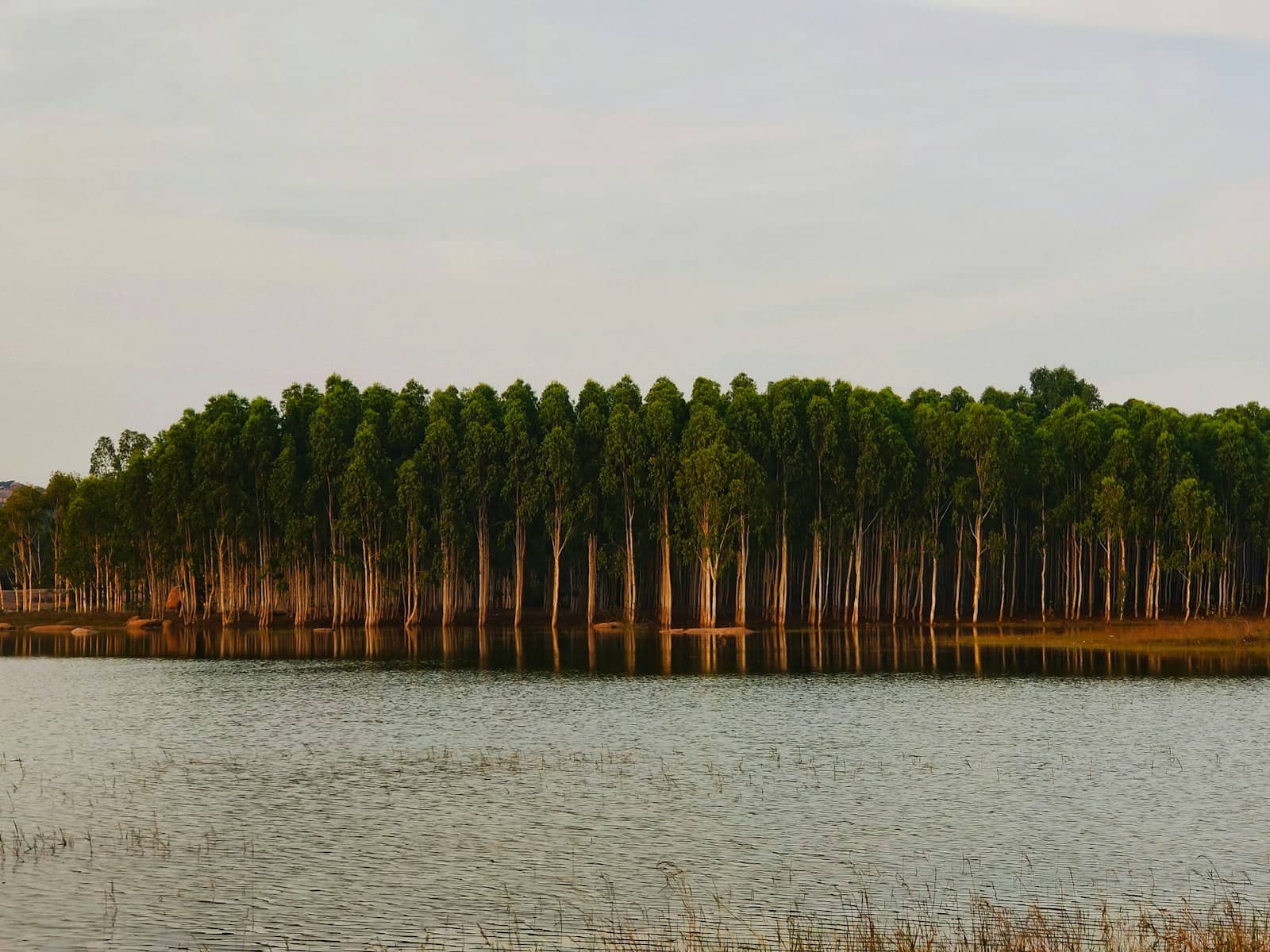 Pykara Lake boating deck