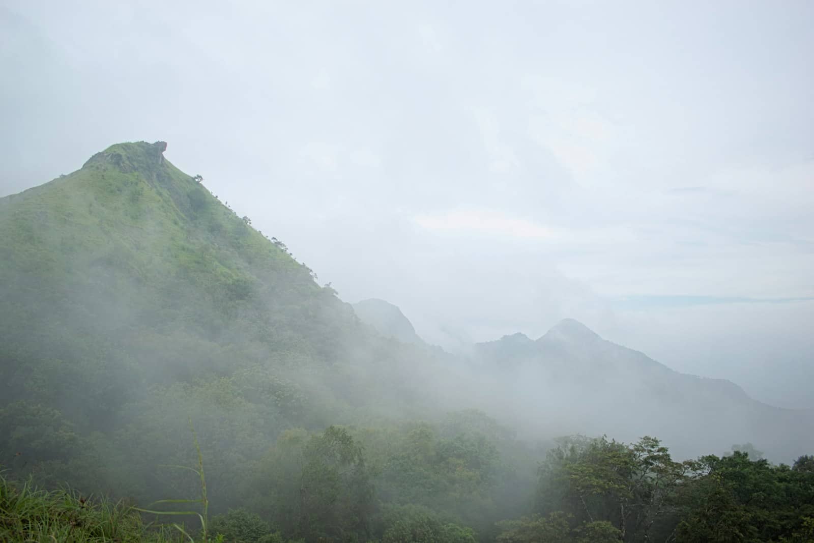 Misty mountain peak in the Nilgiris