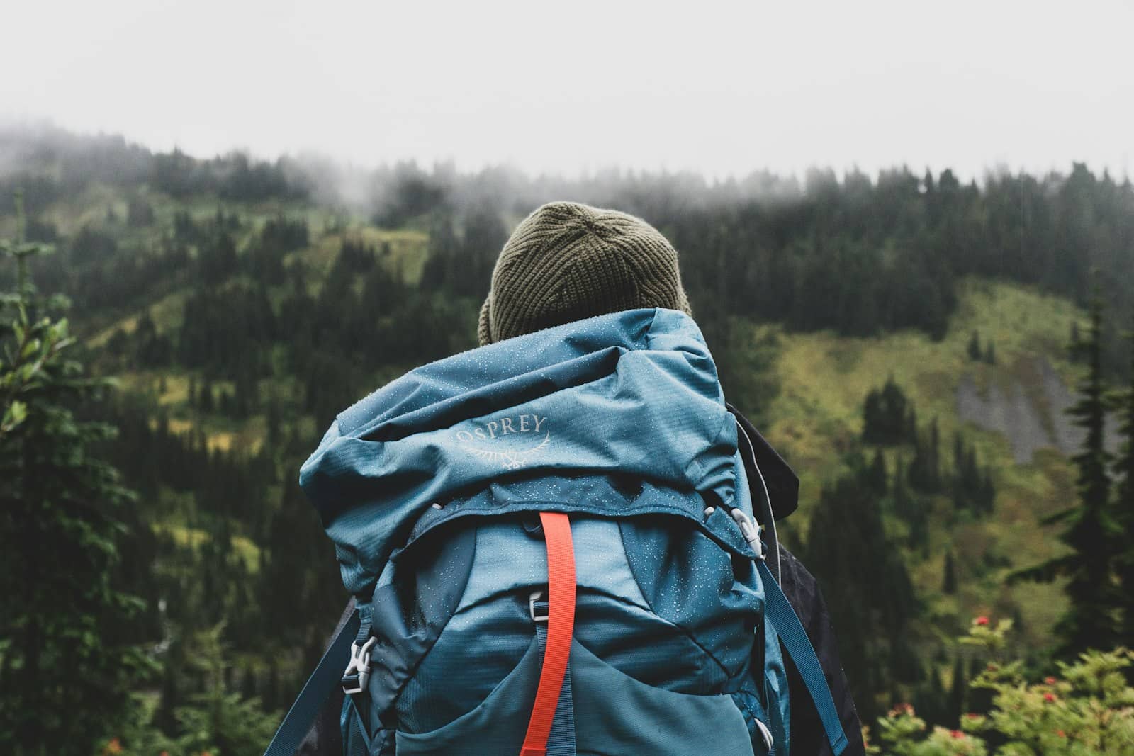 Ooty Budget Explorer
