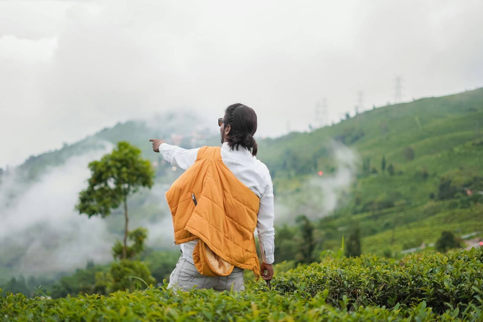 Nilgiri Hill Station Panorama